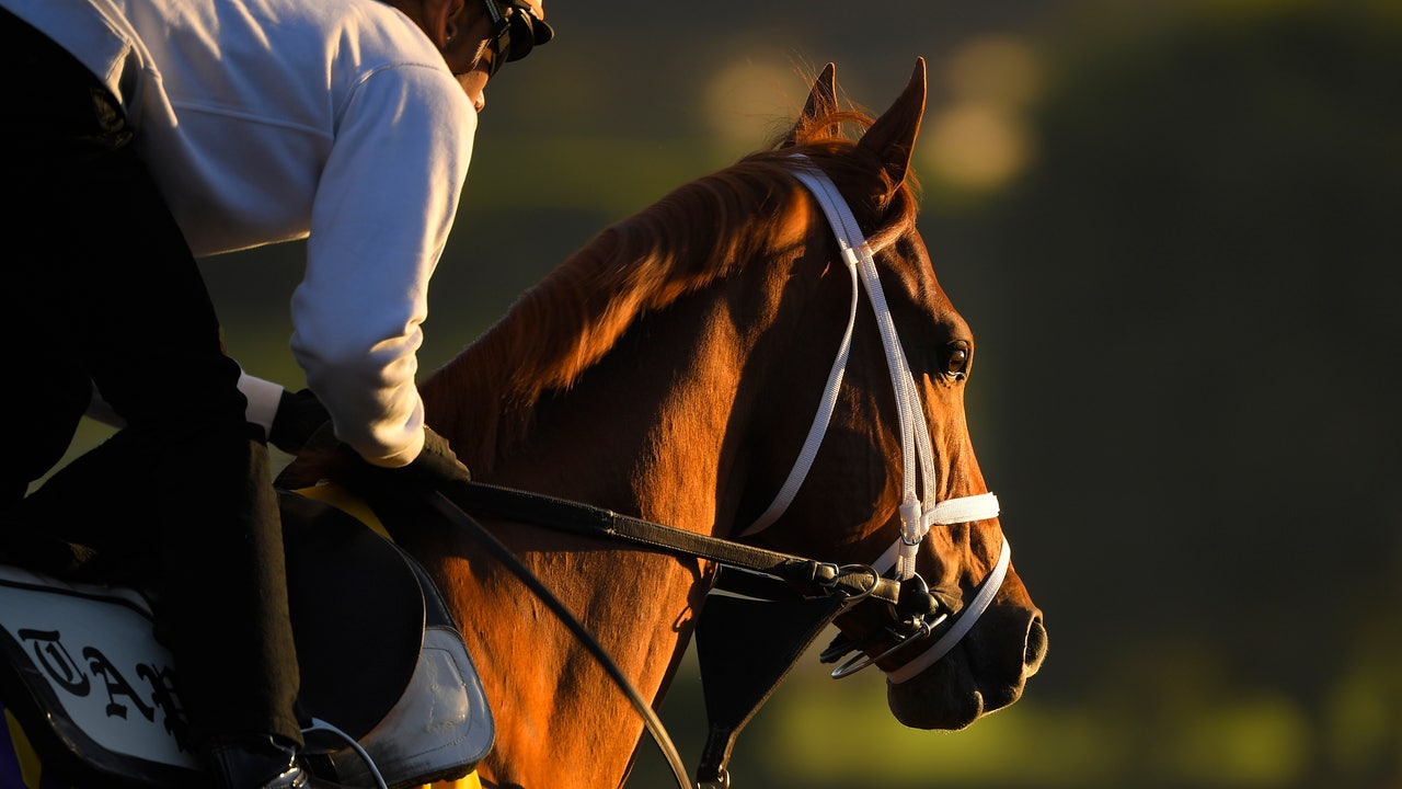 Favorites, top contenders for Day 2 of Breeders' Cup